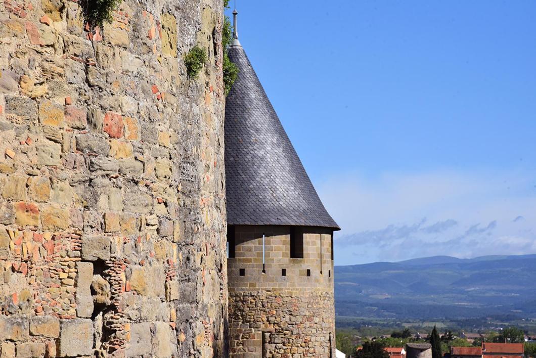 Tout Confort ! Climatisation, Calme, Piscine, Parking Gratuit, Terrasse, Wifi Carcassonne Exterior foto
